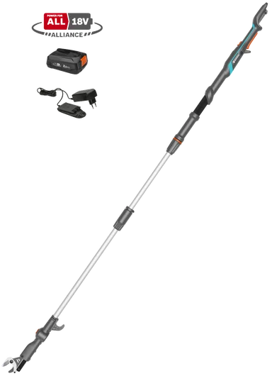 Akku-Baumschere 250 P4A Set